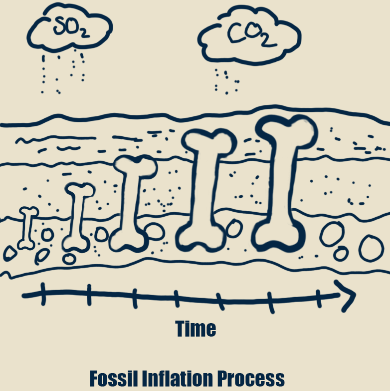 Fossil Inflation Process (FIP) Process Diagram